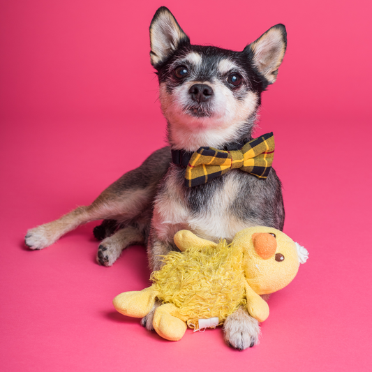 Super Tuff Duckie Plush