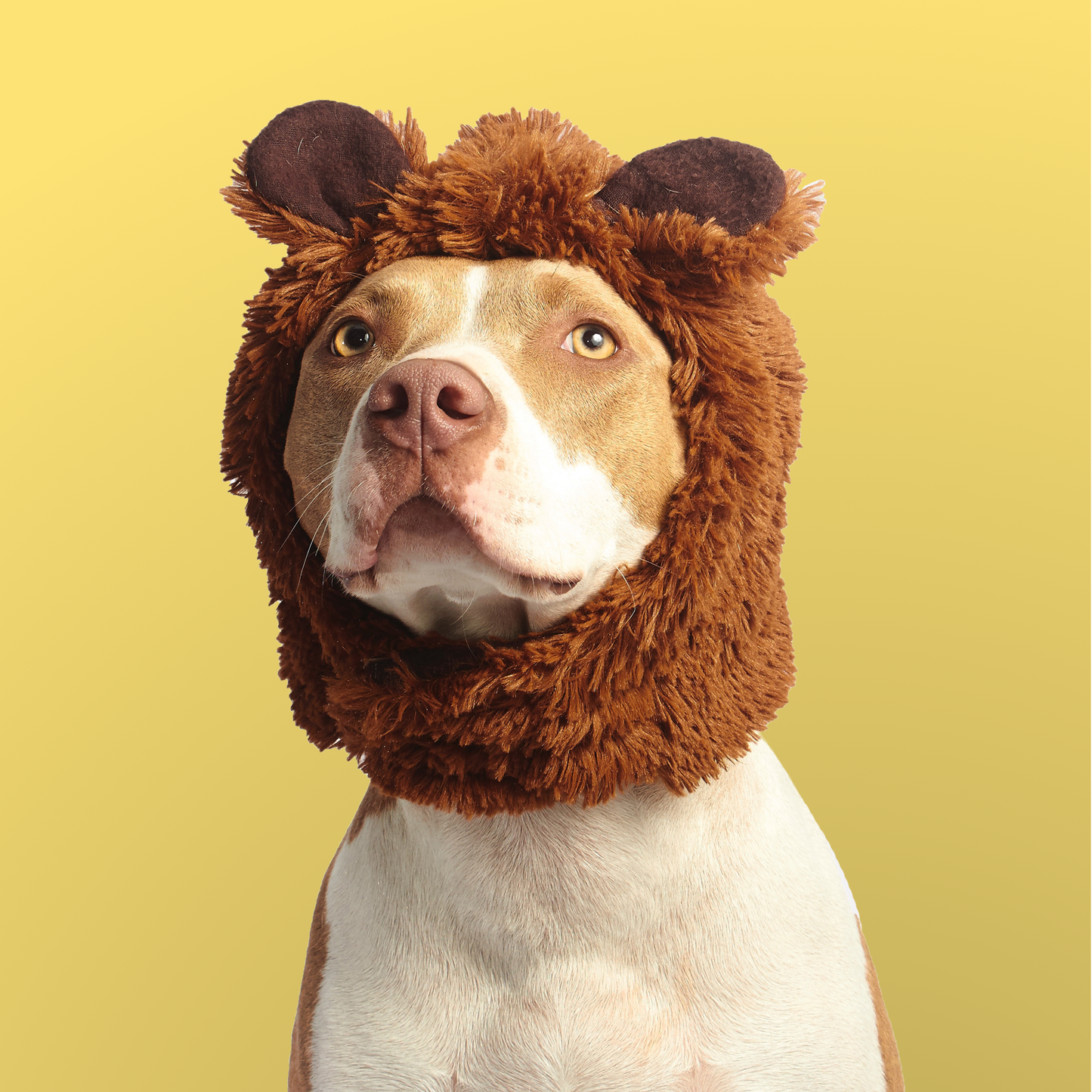 Cuddle King Lion Hat