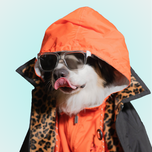 Barkie Bark Hooded Jacket