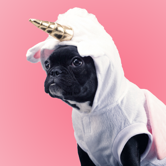 Dogicorn Body Suit
